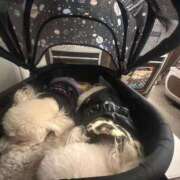 ヒメ日記 2026/01/31 23:08 投稿 まこ ぷよステーション 蒲田店