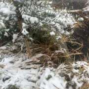 ヒメ日記 2026/02/13 16:08 投稿 まこ ぷよステーション 蒲田店