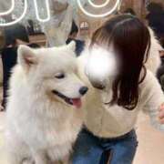 ヒメ日記 2026/01/02 19:09 投稿 りほ 新宿プチドール