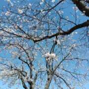 ヒメ日記 2026/04/09 23:15 投稿 はるか 奥様特急上越店