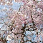 ヒメ日記 2026/04/15 00:05 投稿 はるか 奥様特急上越店