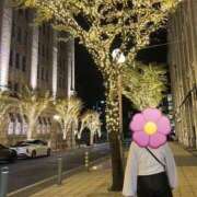 ヒメ日記 2026/02/17 09:06 投稿 とい 奥様さくら日本橋店