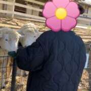 ヒメ日記 2026/03/10 10:36 投稿 とい club さくら日本橋店