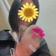 ヒメ日記 2025/12/26 22:59 投稿 まとい 五反田人妻ヒットパレード（シンデレラグループ）