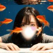 ヒメ日記 2026/01/10 06:00 投稿 Roze PROPORTION