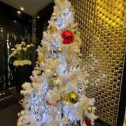 ヒメ日記 2025/12/15 13:18 投稿 足立れい 月の真珠-新宿-