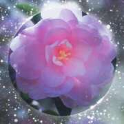 ヒメ日記 2025/12/18 11:48 投稿 足立れい 月の真珠-新宿-