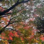 ヒメ日記 2025/12/19 05:18 投稿 足立れい 月の真珠-新宿-