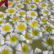 ヒメ日記 2025/12/20 15:18 投稿 足立れい 月の真珠-新宿-