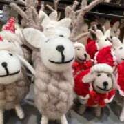 ヒメ日記 2025/12/22 12:58 投稿 足立れい 月の真珠-新宿-