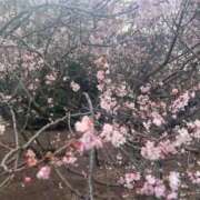 ヒメ日記 2025/12/25 15:08 投稿 足立れい 月の真珠-新宿-