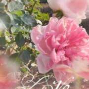 ヒメ日記 2025/12/28 11:18 投稿 足立れい 月の真珠-新宿-