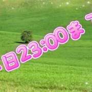 ヒメ日記 2025/12/28 17:08 投稿 足立れい 月の真珠-新宿-