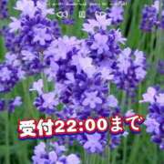 ヒメ日記 2025/12/28 20:08 投稿 足立れい 月の真珠-新宿-