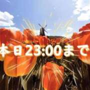 ヒメ日記 2025/12/29 16:48 投稿 足立れい 月の真珠-新宿-