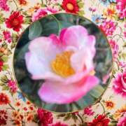 ヒメ日記 2026/01/01 23:48 投稿 足立れい 月の真珠-新宿-