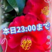 ヒメ日記 2026/01/02 17:18 投稿 足立れい 月の真珠-新宿-
