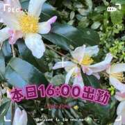 ヒメ日記 2026/01/08 14:28 投稿 足立れい 月の真珠-新宿-