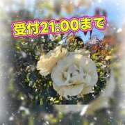 ヒメ日記 2026/01/08 19:18 投稿 足立れい 月の真珠-新宿-