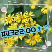 ヒメ日記 2026/01/10 17:48 投稿 足立れい 月の真珠-新宿-