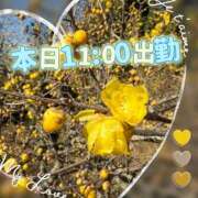 ヒメ日記 2026/01/12 09:48 投稿 足立れい 月の真珠-新宿-