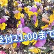 ヒメ日記 2026/01/12 19:08 投稿 足立れい 月の真珠-新宿-