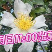 ヒメ日記 2026/01/13 23:59 投稿 足立れい 月の真珠-新宿-