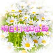 ヒメ日記 2026/01/15 22:48 投稿 足立れい 月の真珠-新宿-