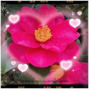 ヒメ日記 2026/01/16 13:48 投稿 足立れい 月の真珠-新宿-