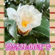 ヒメ日記 2026/01/19 19:48 投稿 足立れい 月の真珠-新宿-