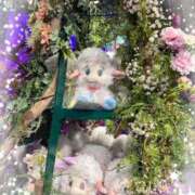 ヒメ日記 2026/01/20 07:18 投稿 足立れい 月の真珠-新宿-