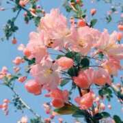 ヒメ日記 2026/01/22 23:58 投稿 足立れい 月の真珠-新宿-