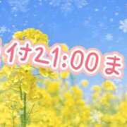 ヒメ日記 2026/01/24 19:18 投稿 足立れい 月の真珠-新宿-
