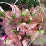 ヒメ日記 2026/01/26 09:48 投稿 足立れい 月の真珠-新宿-