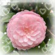 ヒメ日記 2026/01/26 22:38 投稿 足立れい 月の真珠-新宿-