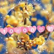 足立れい 本日 月の真珠-新宿-