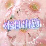 ヒメ日記 2026/02/24 09:48 投稿 足立れい 月の真珠-新宿-