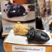 ヒメ日記 2026/02/26 15:37 投稿 竹内ケイ プレジデントハウス