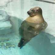 ヒメ日記 2026/04/30 06:59 投稿 まこ 素人妻達☆マイふぇらレディー