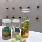 ヒメ日記 2026/02/01 16:30 投稿 るりか☆バイブ挿入動画　無料 バーニング（BURNING）