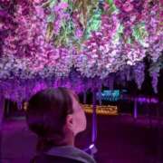 ヒメ日記 2025/12/14 00:33 投稿 かざり☆ バーニング（BURNING）