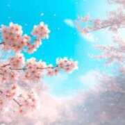 ヒメ日記 2026/01/05 23:16 投稿 百合 昼顔妻 五反田店