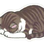 ヒメ日記 2025/12/29 22:35 投稿 晴海【はるみ】 丸妻 西船橋店