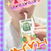 ヒメ日記 2026/02/07 10:56 投稿 相川りょう ミセス大阪十三店