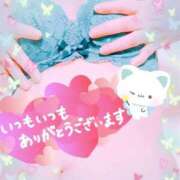 ヒメ日記 2026/02/17 17:01 投稿 相川りょう ミセス大阪十三店