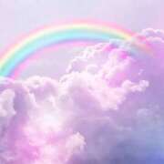 ヒメ日記 2025/12/13 13:01 投稿 市川沙季 熟女パラダイス京都店（カサブランカグループ）