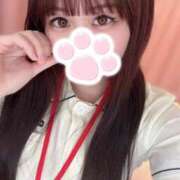 ヒメ日記 2026/04/15 23:00 投稿 姫乃　なごみ 現役ナースが精液採取に伺います 梅田店