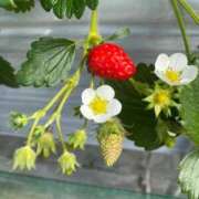 ヒメ日記 2026/03/11 23:02 投稿 羽川みよ 甲府回春アロマージュ