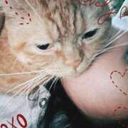 ヒメ日記 2025/12/20 00:04 投稿 ゆう ぷよステーション 蒲田店