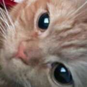 ヒメ日記 2025/12/20 23:18 投稿 ゆう ぷよステーション 蒲田店